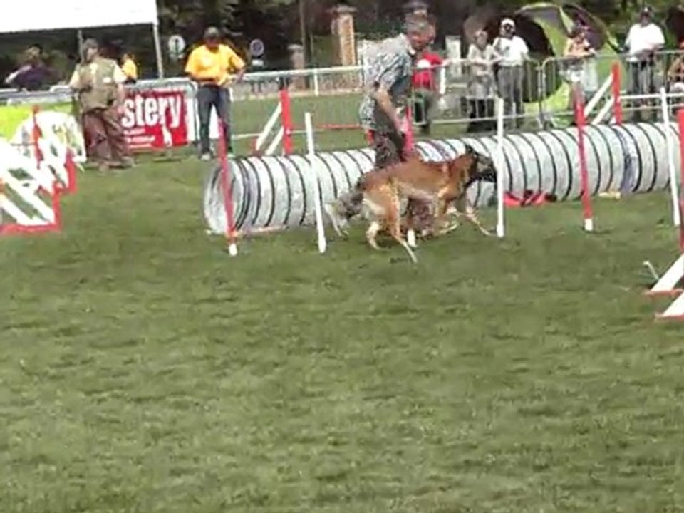 viet gpf jump sélectif