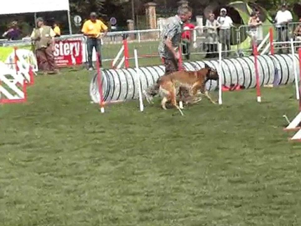 selectif viet gpf jump