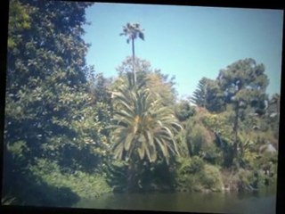 Self Realization Fellowship