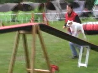 15 05 2011 Agility Vodka Grade 1 Tielte