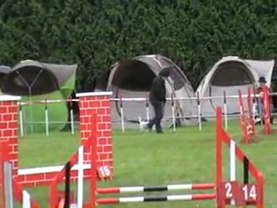 15 05 2011 Laurence - Agility - Tielte