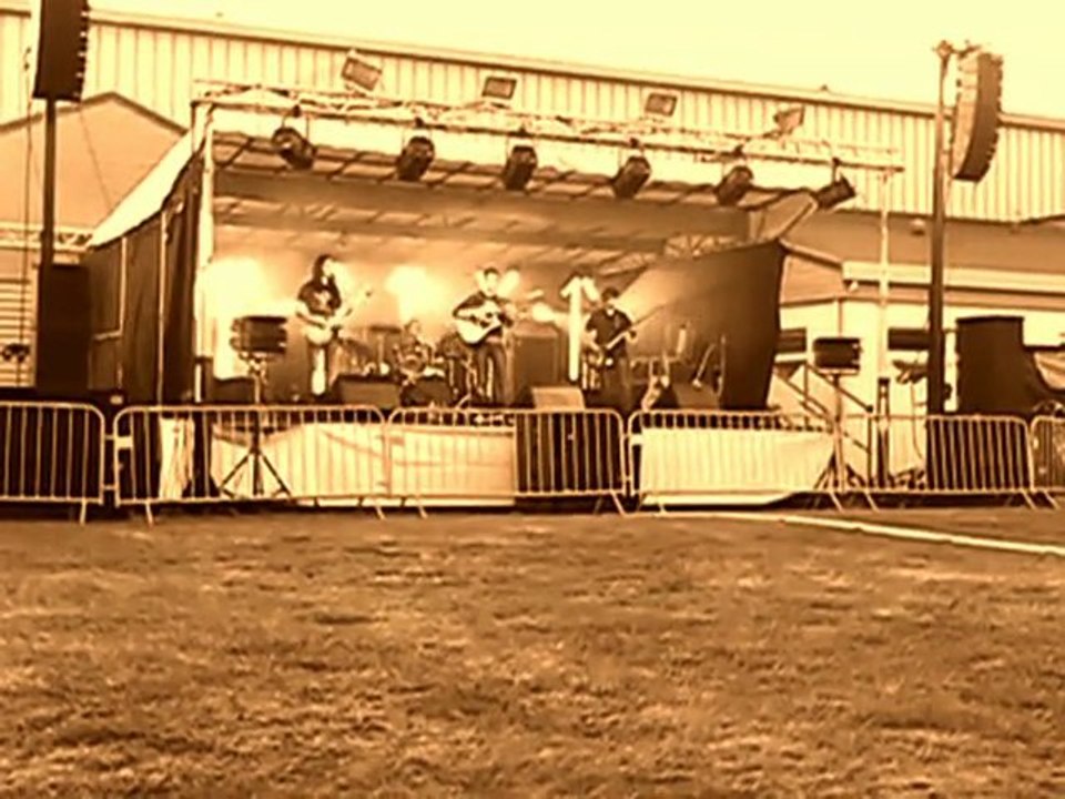 Ça Grézille #2 - Through The Glass (covered by Polaroid)