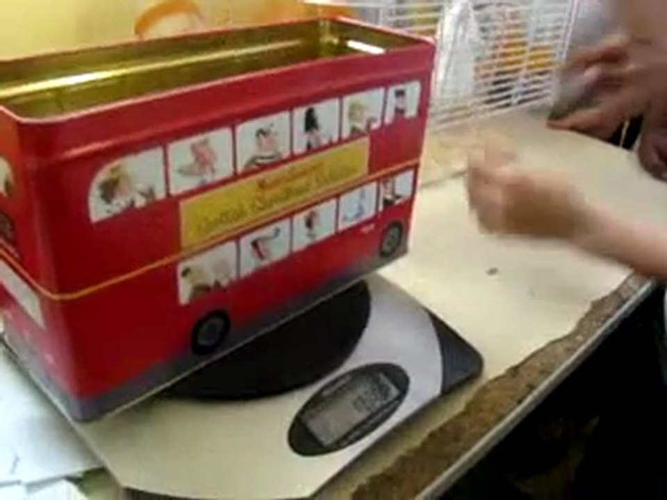 Pesée du hamster mâle 2