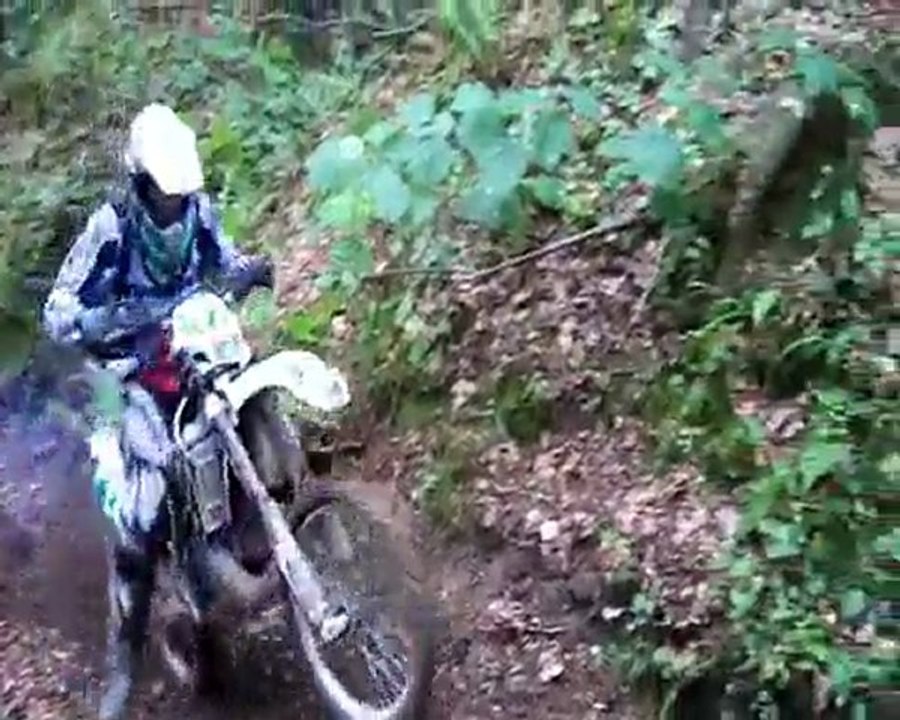 RAVINE
