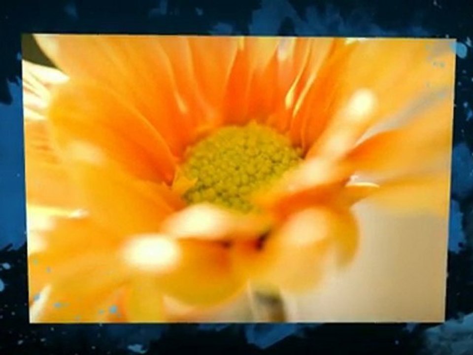 Plumber Columbia|Plumber Columbia SC|Columbia Plumber