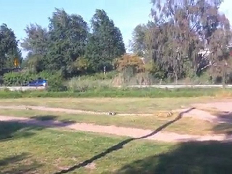 Team Asso Rc8 Vs Rc8