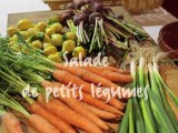 Salade de petits légumes  par le chef Régis Daudignan