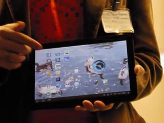 (EN) Android and Native Client