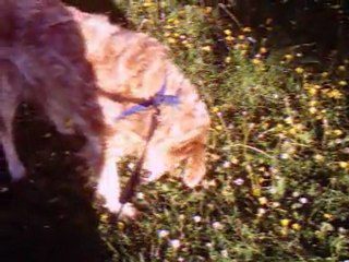 dimanche 8 mai 2011 soirée PAPYLOU