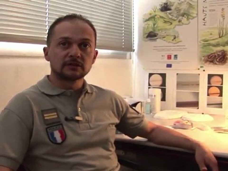 Pyrénées: la difficile mission des "pisteurs" d'ours