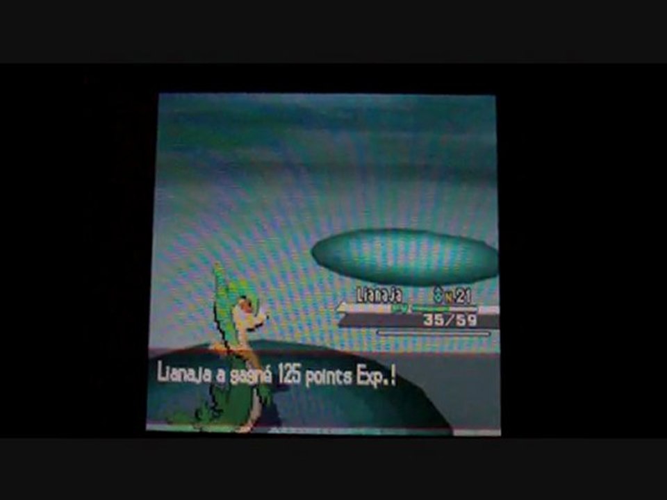 W.T Pokemon Blanc / 10 : Visite Guidée !