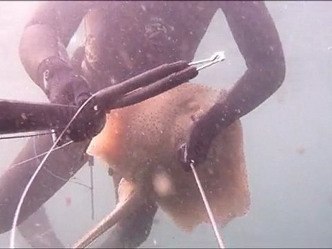 11 Mai 2011 - Pêche sous marine sur les ridins