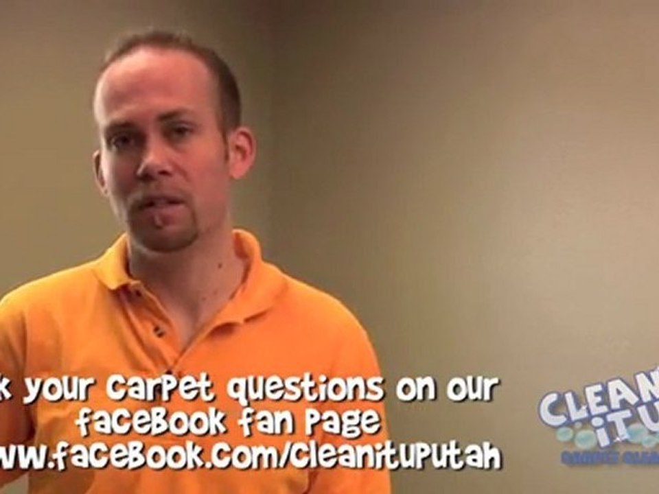 Carpet Cleaning Salt Lake City - Can you remove pet stains?