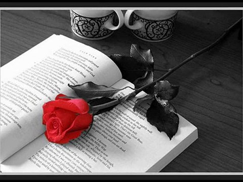 ahmet şafak - unut onu gitsin gönlüm ===> MaHFuZ