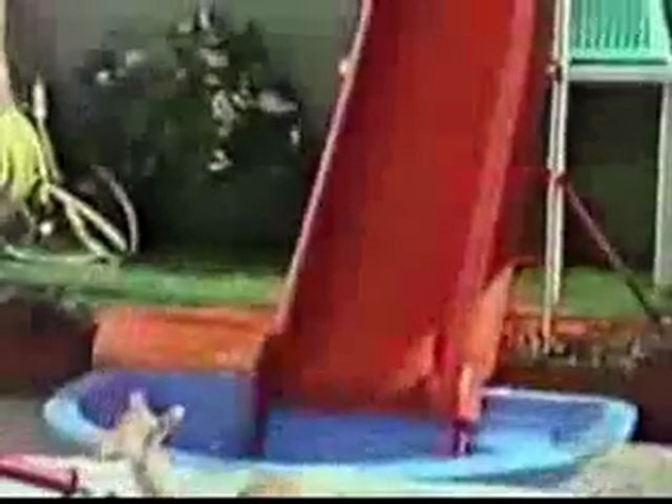 The biggest bloopers