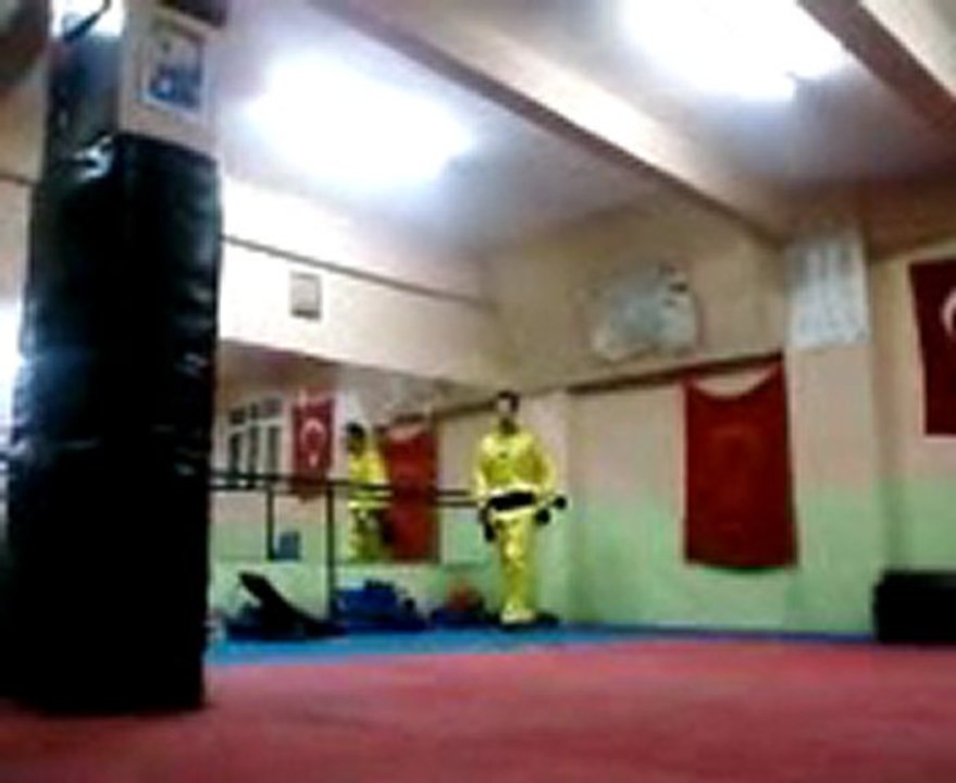 KRALARTUR33