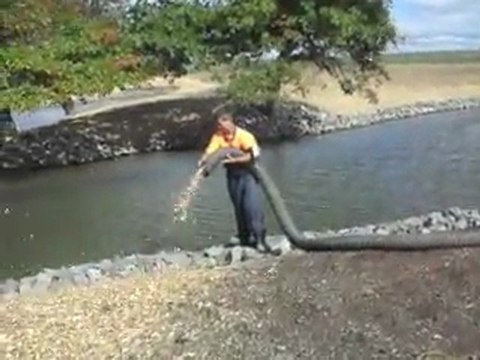Playground bark Auckland, Wood bark chips mulch Hamilton