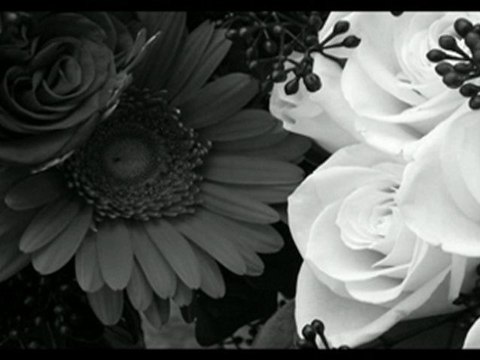 İSTANBUL ,iSTANBUL OLALI [HD] & SEZEN AKSU