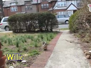 “Fun With Our Friends" : Ultra Fur