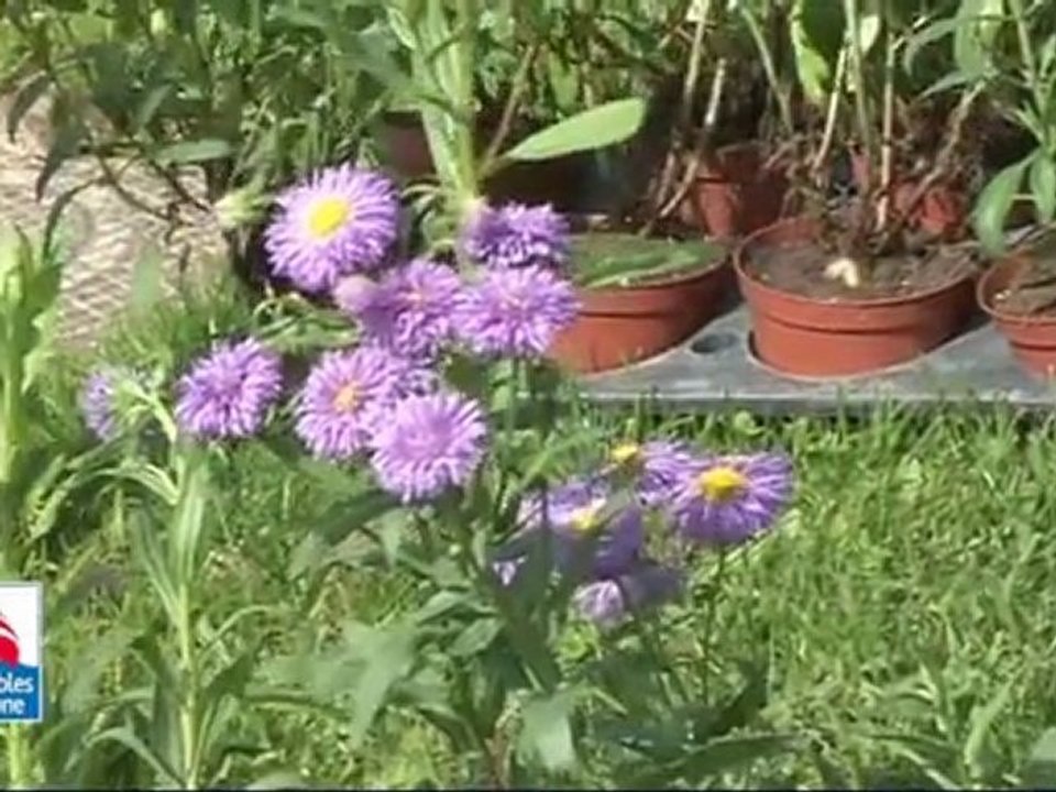 LES PLANTATIONS ESTIVALES DES ESPACES VERTS