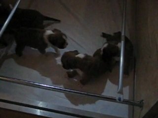 trois semaines tout juste et ça grogne déjà