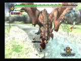 Flo VS Rathalos (solo