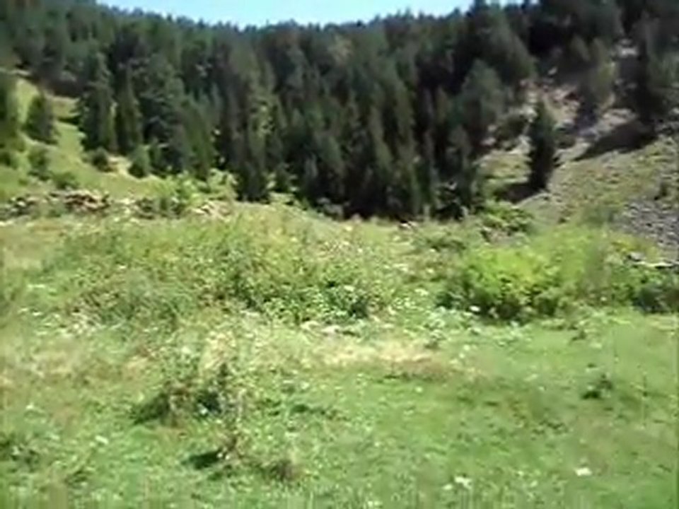 AŞAĞI YAYLALAR 2010