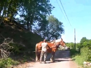 débardage avec Violine