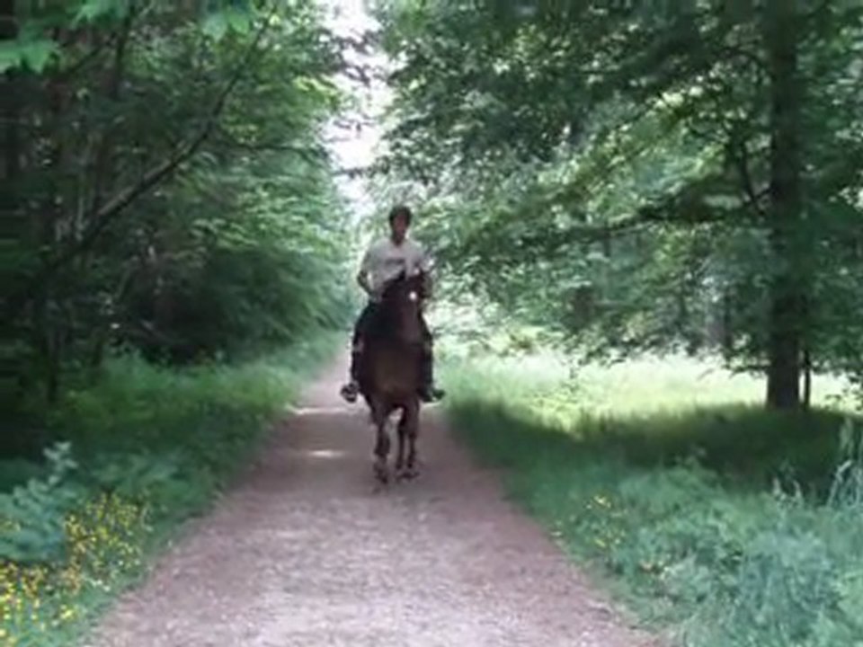 GuillaumeetFelienforet