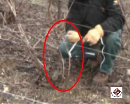 Lancement - Taille Chablis de la vigne en Chablis - Champagne