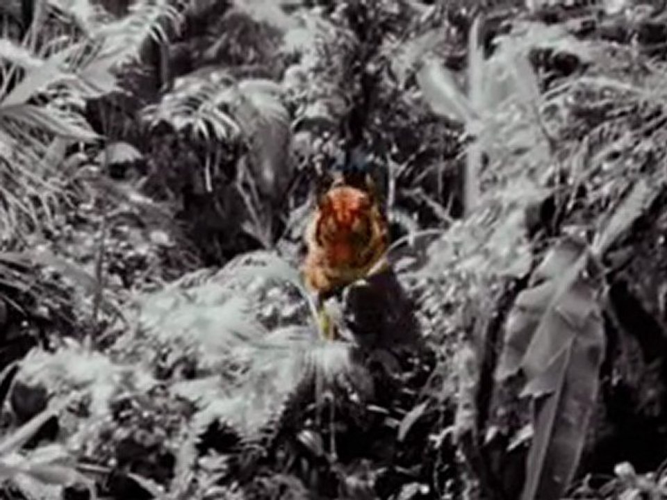 Summit Entertainment, Mandalay Logo - Never Back Down (2008)