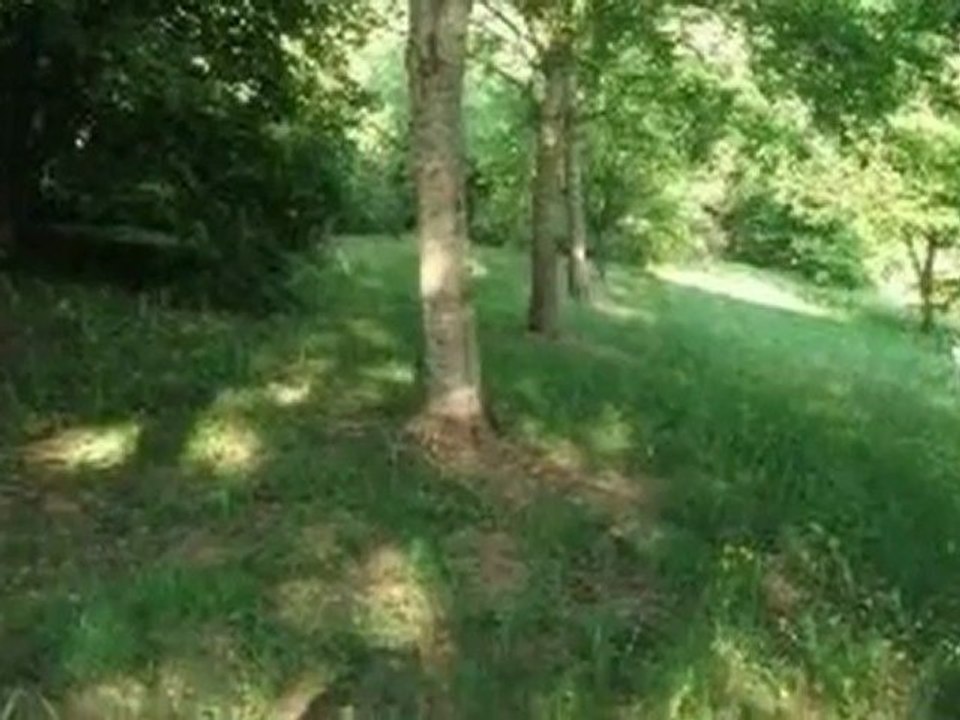 A vendre - maison - ALISE STE REINE (21150) - 2 pièces - 12