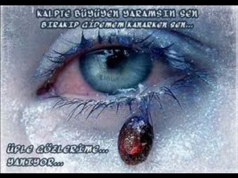 seyda perinçek kani em ber hev bun  SÜLEYMAN SUR