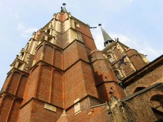 Jaskółka uwięziona