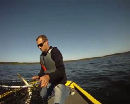 One Day One Fish - 8 mai 2011 - Défi Predators Ouest