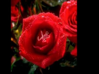 mustafa özyılmaz - ilahi (güllere vurgunum)