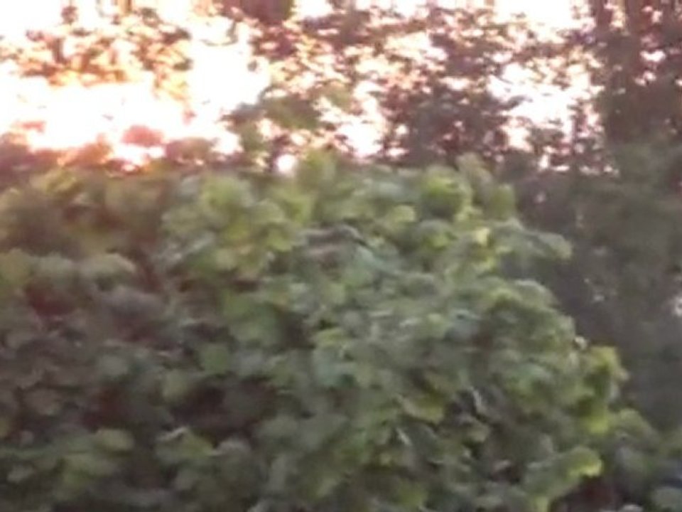 beau soleil couchant