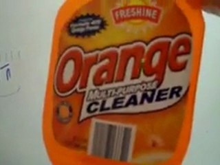 The possibilities of Melaleuca!!!