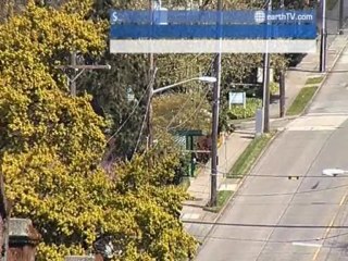 Hamburg - Germany, Barcelona - Spain, Jerusalem - Holy Land, Ascona - Ticino - Switzerland, Seattle - USA, Ekaterinburg - Russia, Salzburg - Austria