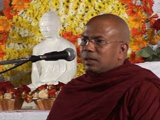 BANA DELIVERED REVERENCE KIRIBATHGODA GNANANANDA THERA PARIS 4