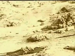 ΓΕΝΟΚΤΟΝΙΑ ΠΟΝΤΙΩΝ - PONTIAN GENOCIDE