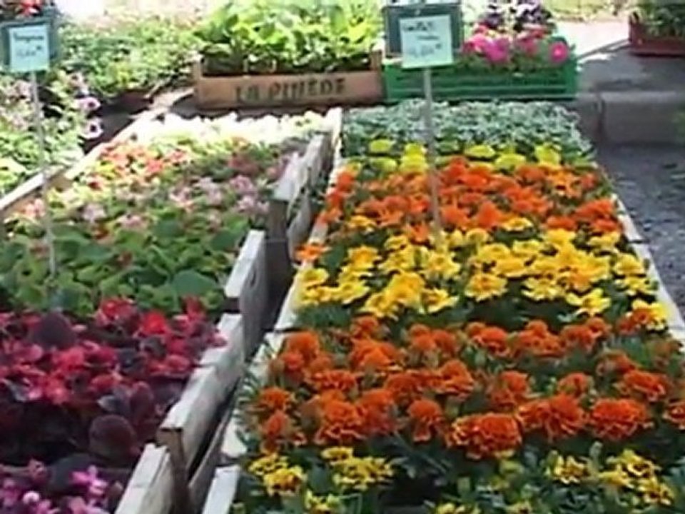 La Foire du 1er Mai à Seyssel