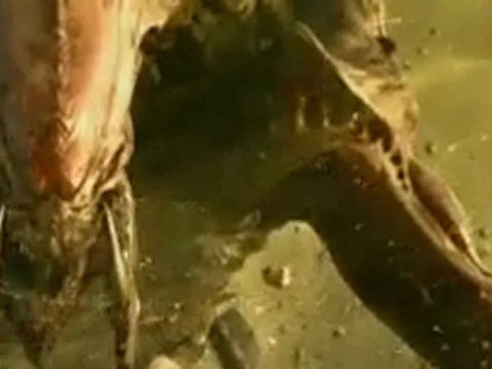 Starcraft II Wings of Liberty - Spot Ufficiale da Blizzard - HD ITA