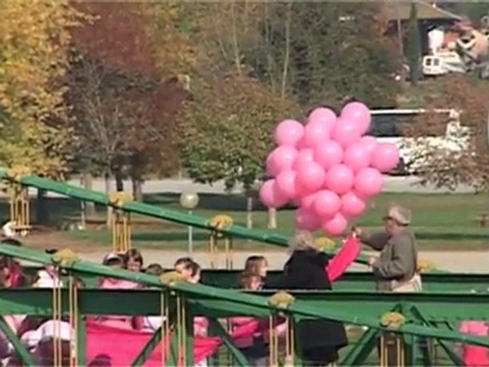 Le Pont de Seyssel s'habille en Rose