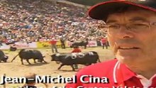 Cow fighting - The strongest and feistiest of the lot is crowned queen every year