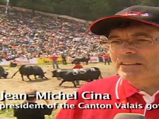 Cow fighting - The strongest and feistiest of the lot is crowned queen every year