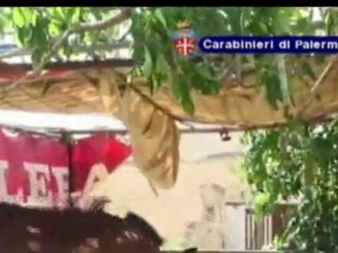 Palermo - Sequestro cavalli per corse clandestine
