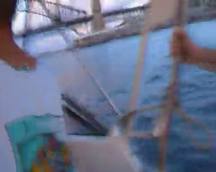 Depart bateau Sydney harbour