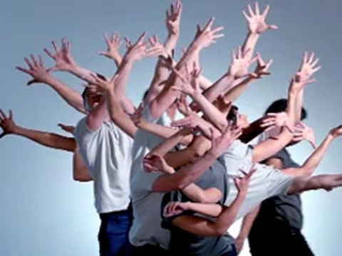 İş Bankası 81 İlde 81 Orman