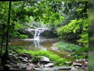 Gavin's Irish Country Inn